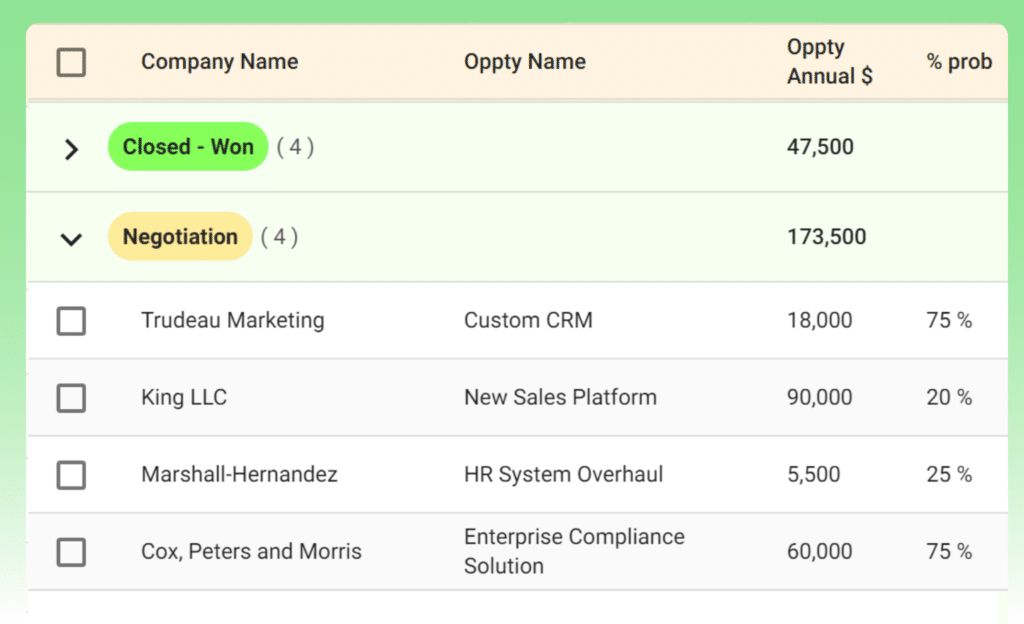 Custom CRM