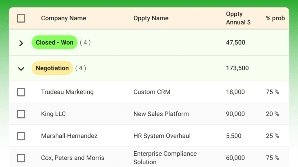 Custom CRM
